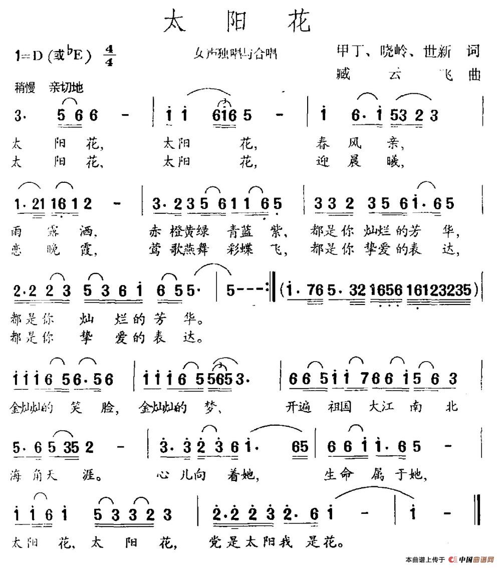 太阳花（甲丁 晓岭 世新词 臧云飞曲）