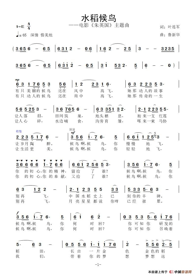 水稻候鸟