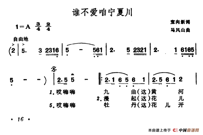 谁不爱咱宁夏川