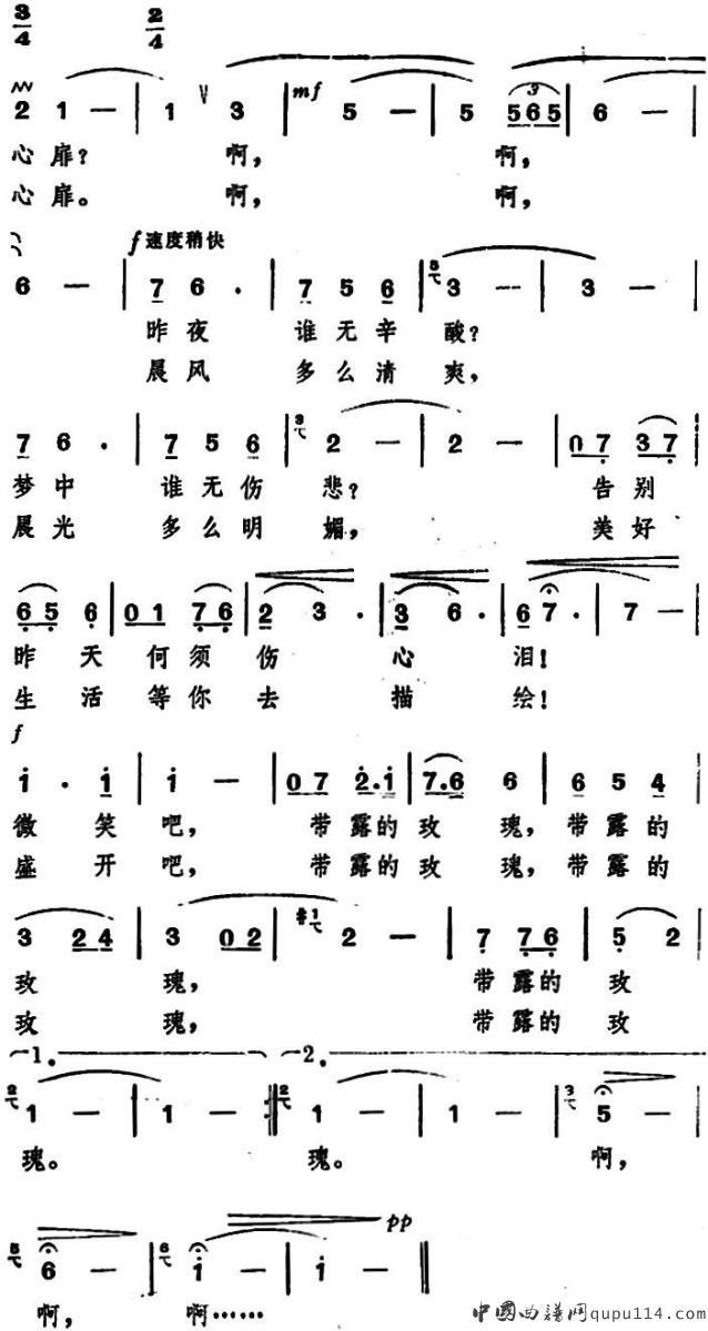 带露的玫瑰（王晓岭词 程恺曲）