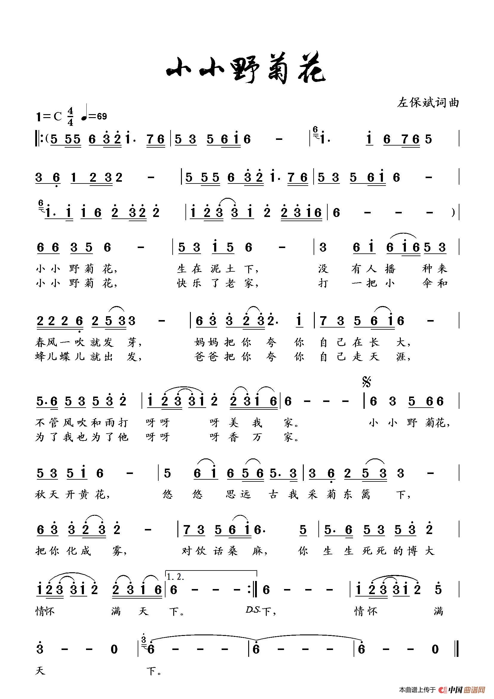 小小野菊花（左保斌 词曲）