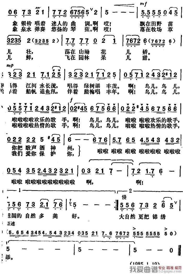 鸟儿，欢乐的歌手