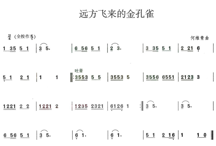 远方飞来的金孔雀