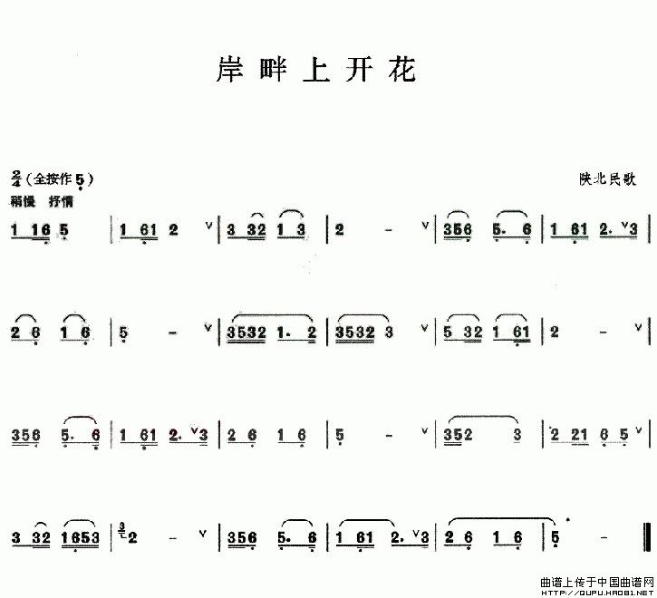 岸畔上开花