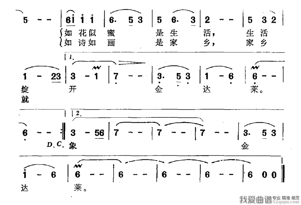 送你一支金达莱