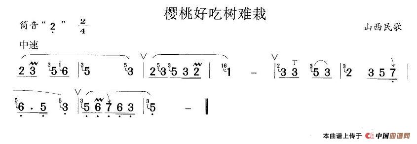 樱桃好吃树难栽