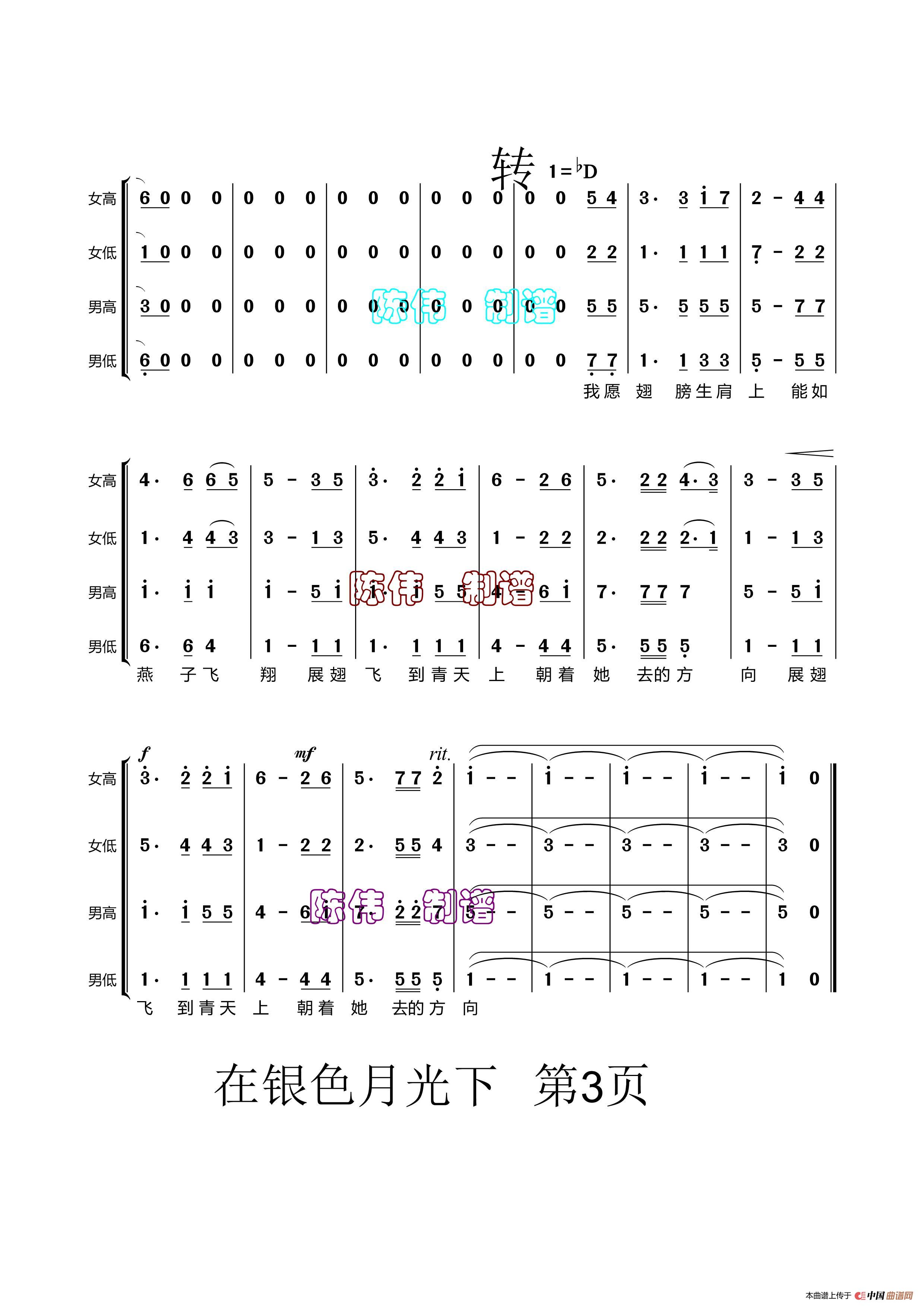 在银色的月光下