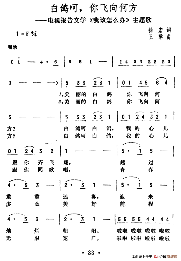 白鸽呵，你飞向何方（电视报告文学《我该怎么