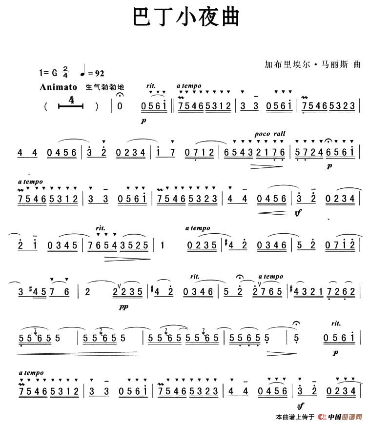 巴丁小夜曲