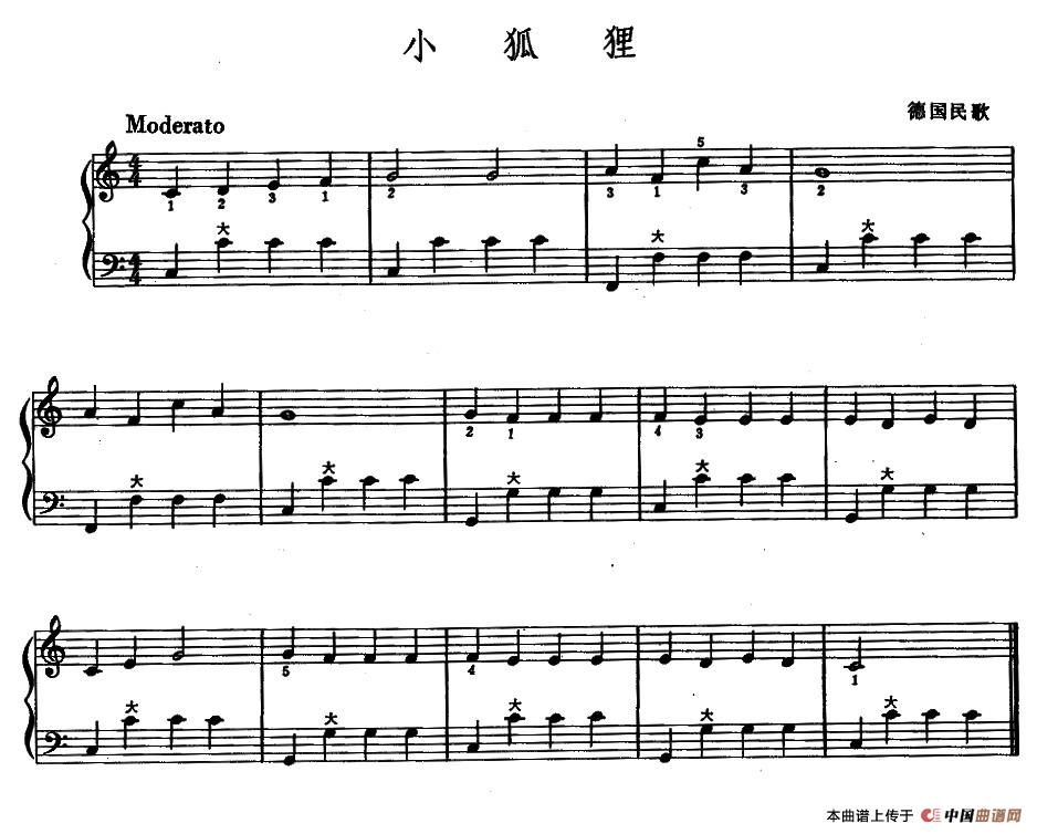 小狐狸