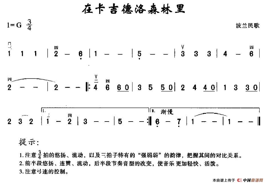 在卡吉德洛森林里