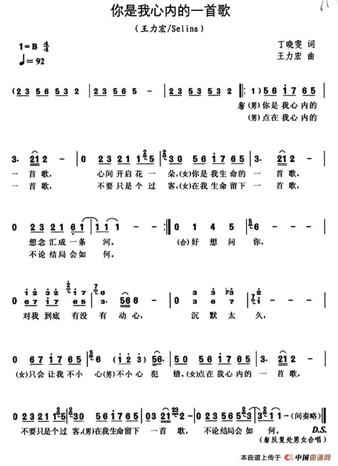 你是我心内的一首歌