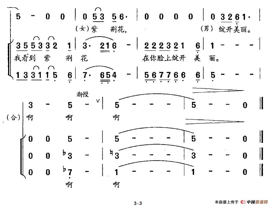 大大之子合唱谱