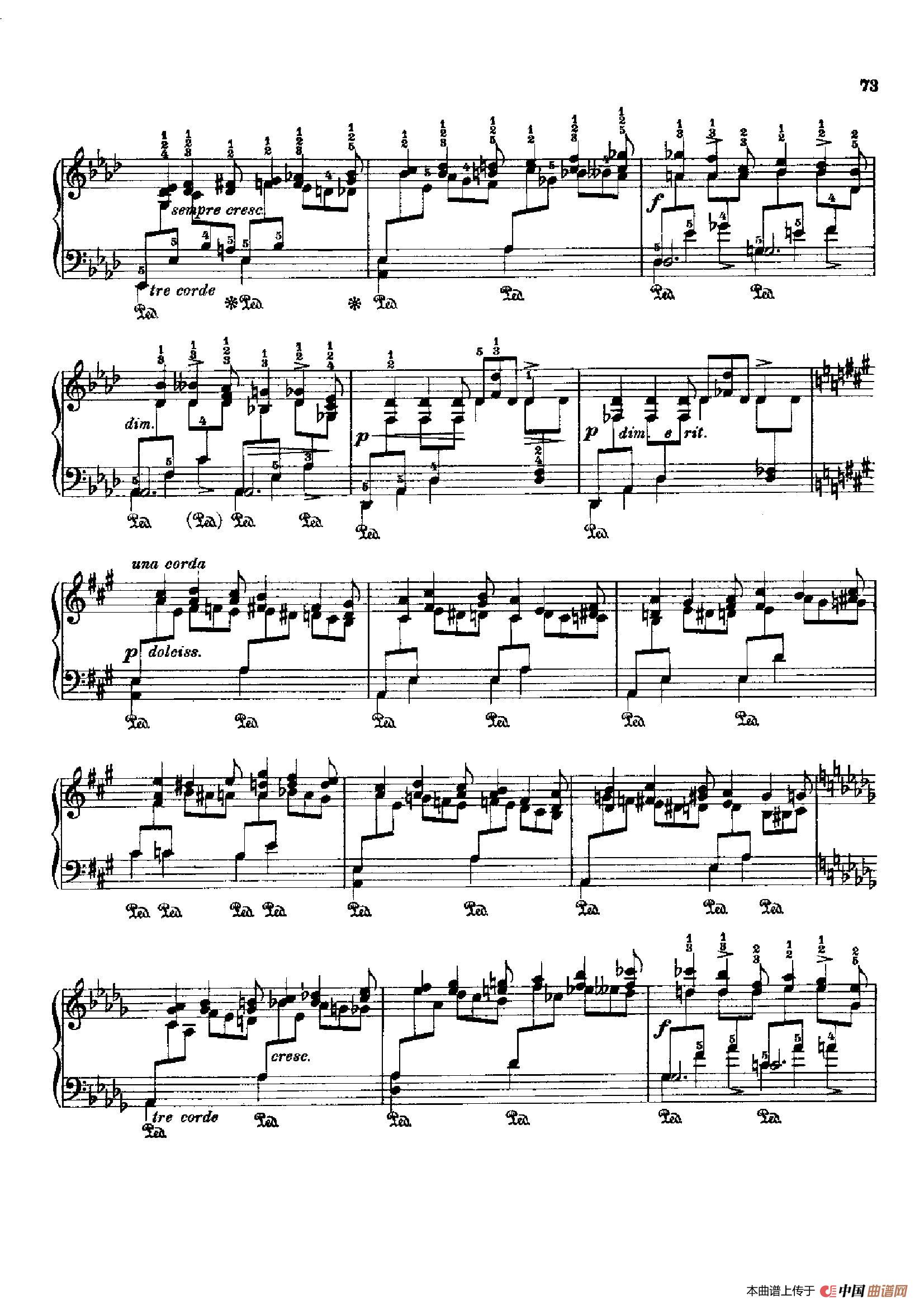53首以肖邦练习曲为素材而作的练习曲（No.20）