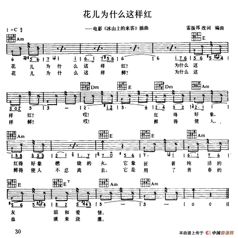 花儿为什么这样红