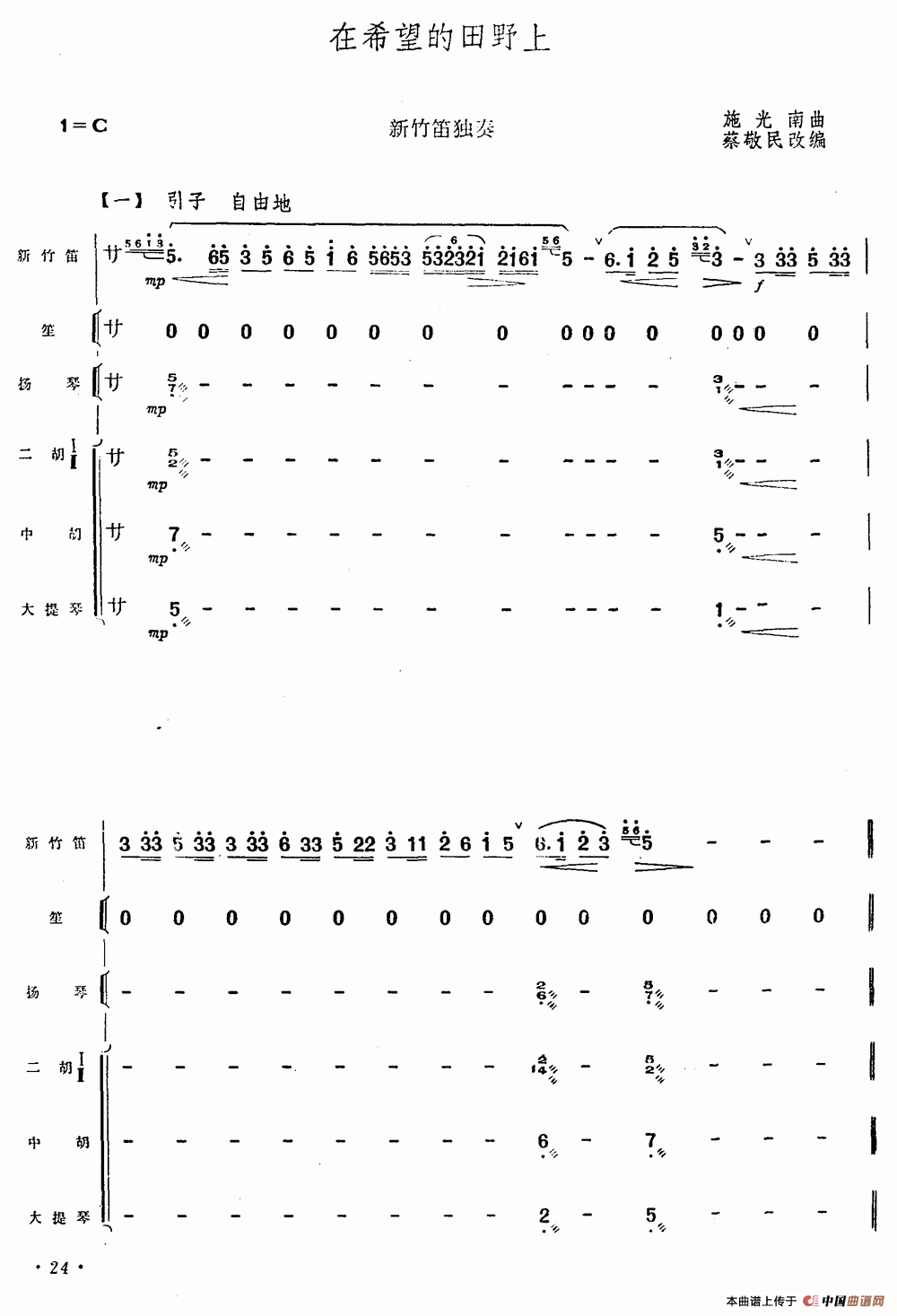 在希望的田野上（新竹笛+乐队伴奏）