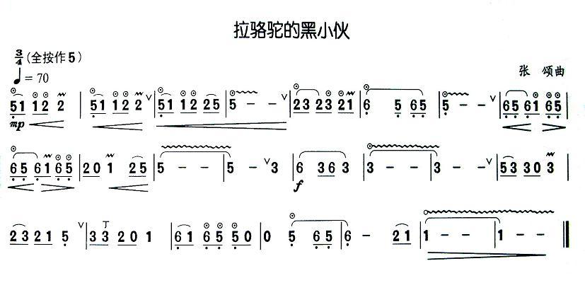 拉骆驼的黑小伙