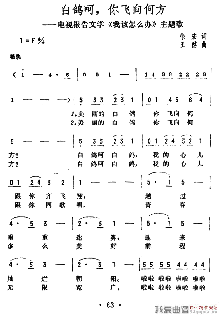 白鸽呵，你飞向何方（电视报告文学《我该怎么办》主题歌）