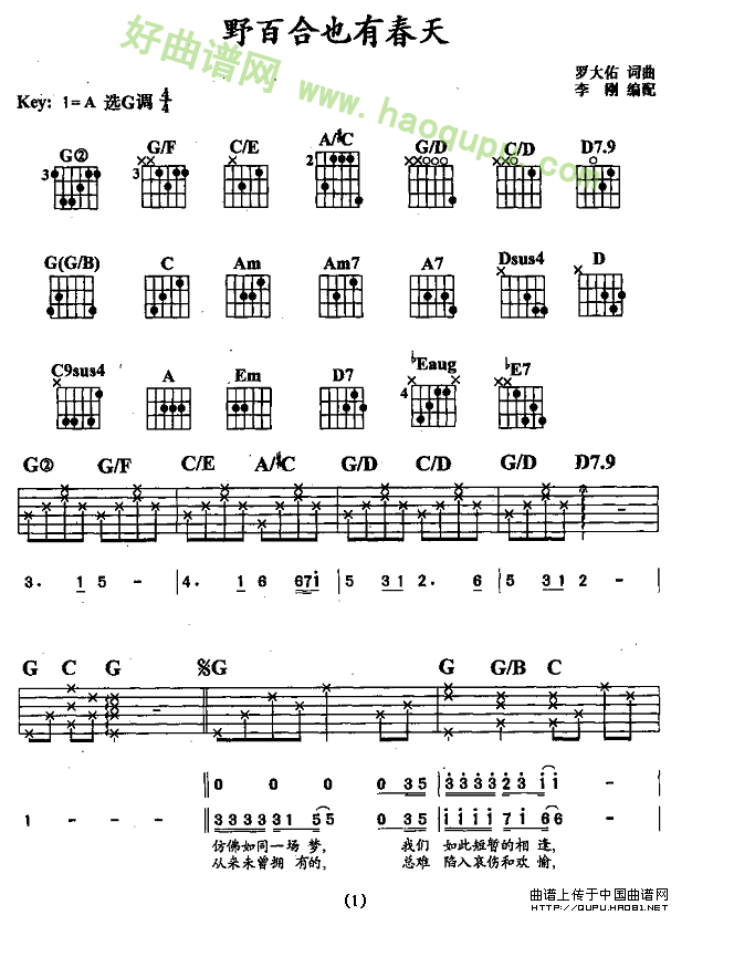 《野百合也有春天》（罗大佑演唱） 吉他谱第2张
