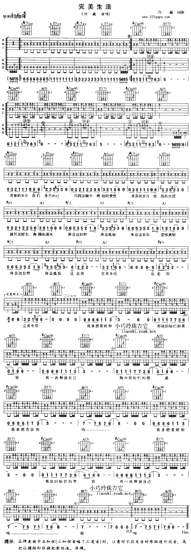 完美生活 （许巍）吉他谱