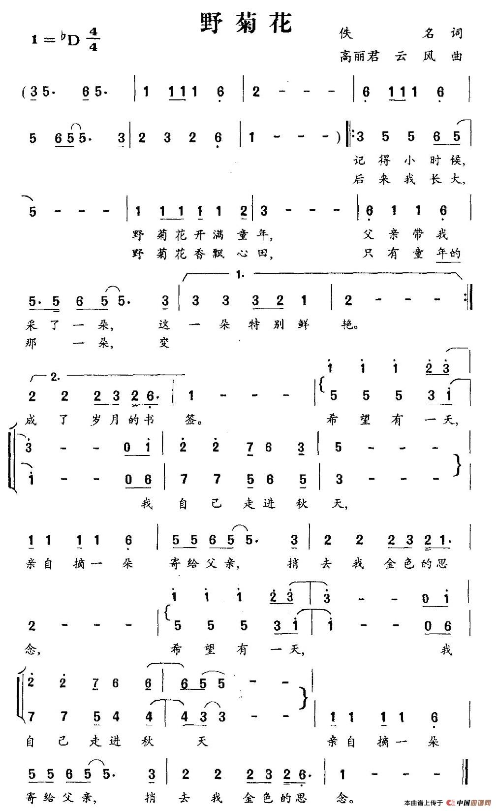 野菊花（佚名词 高丽君、云风曲）