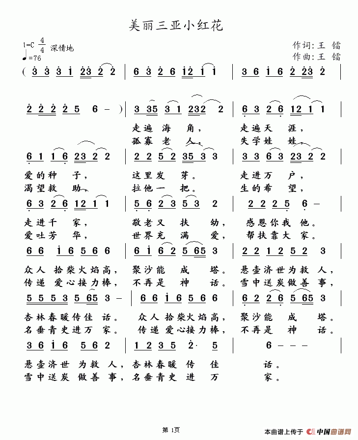 美丽三亚小红花