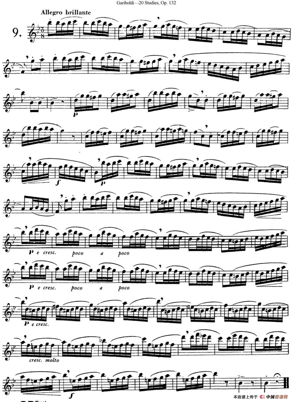 二十首练习曲作品132号之9