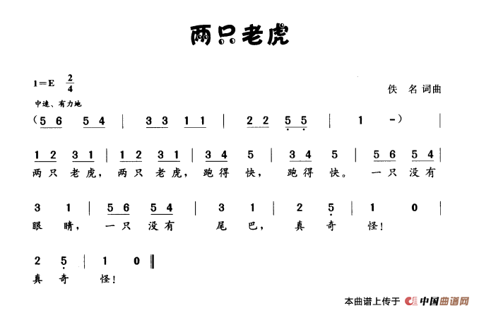 两只老虎