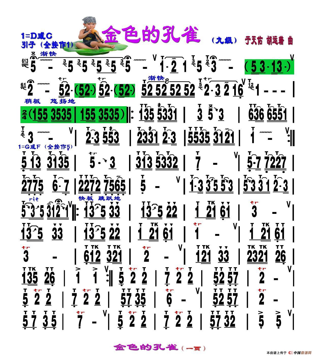 金色的孔雀 （刘慧淑制谱版）