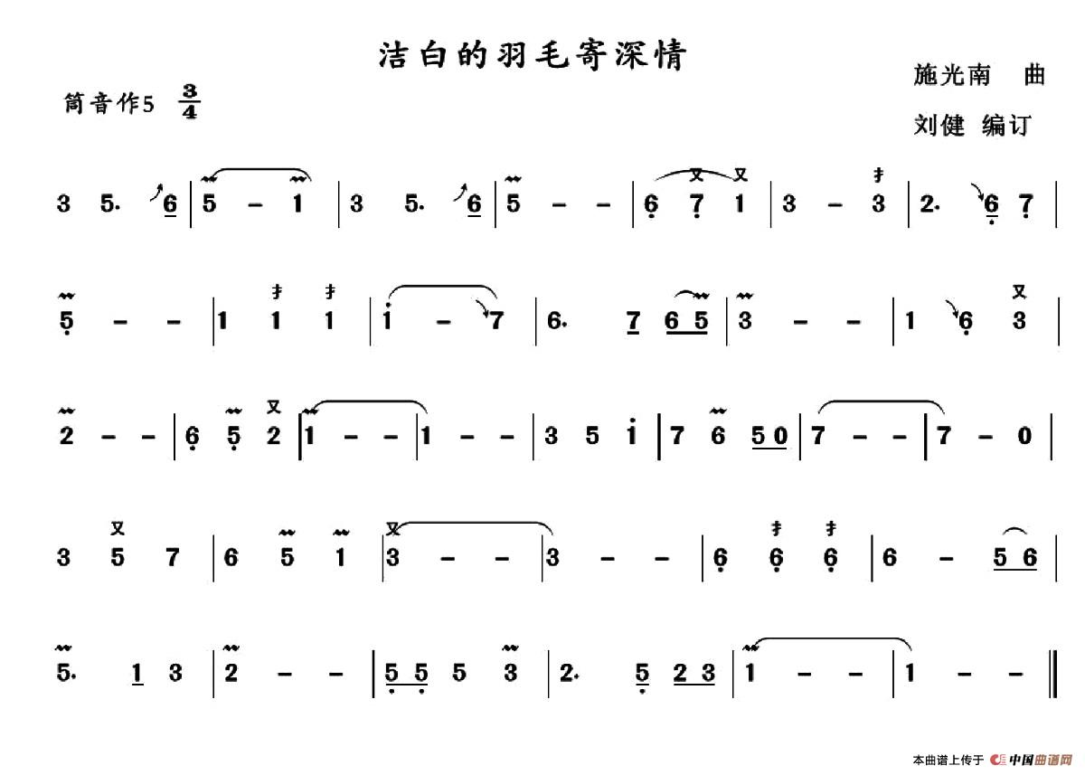 洁白的羽毛寄深情