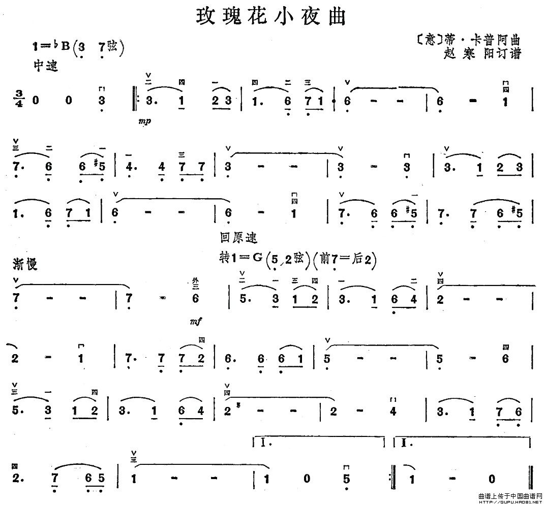 玫瑰花小夜曲