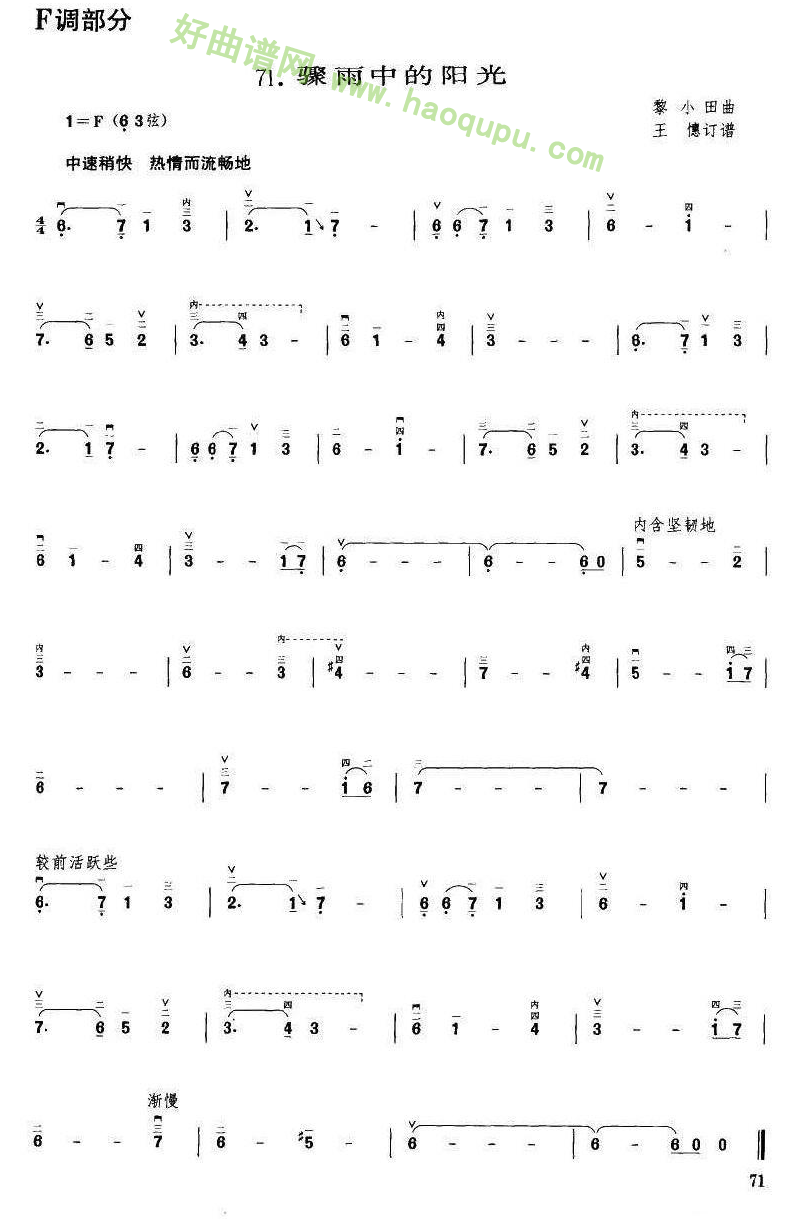 《骤雨中的阳光》（黎小田曲 王憓订谱）二胡曲谱