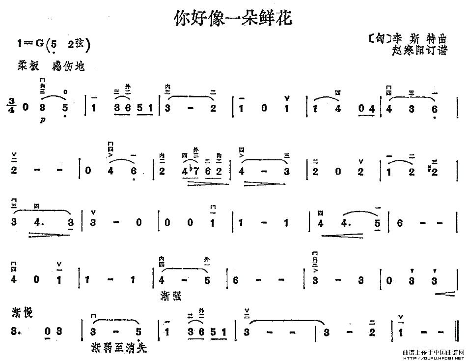 你好像一朵鲜花