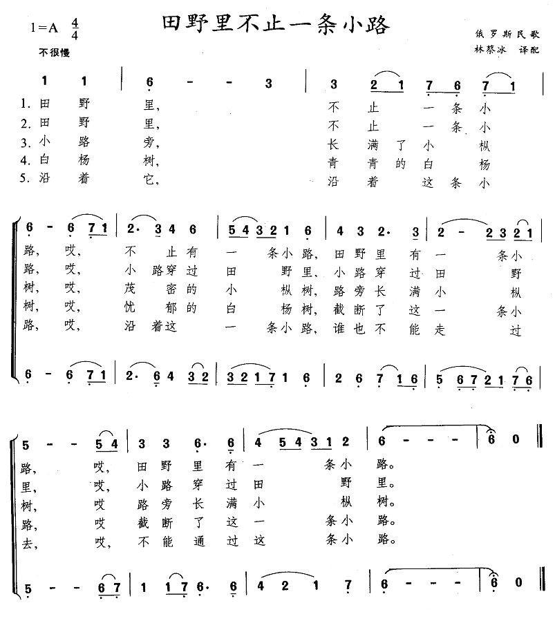 田野里不止一条小路简谱