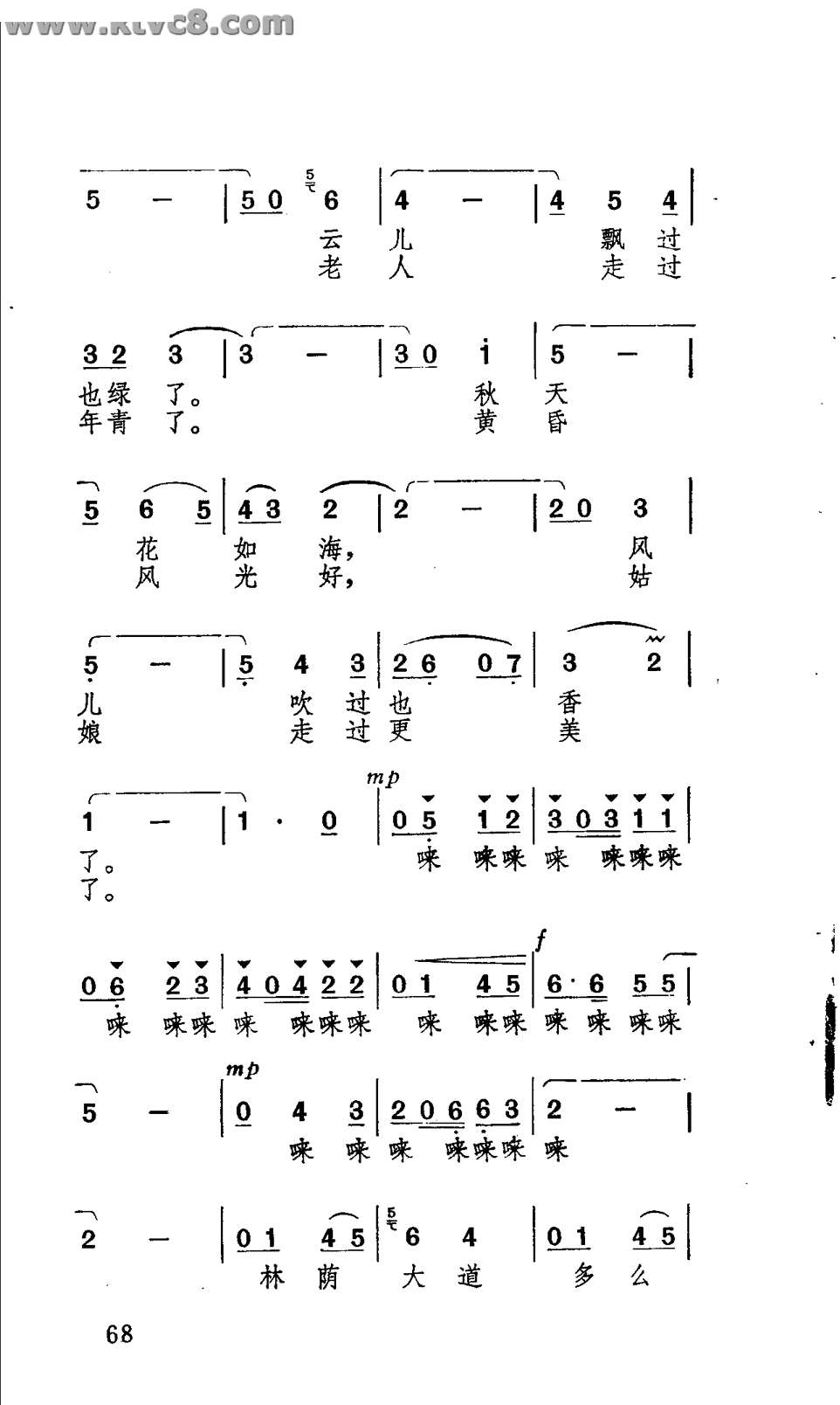 我走过林荫大道