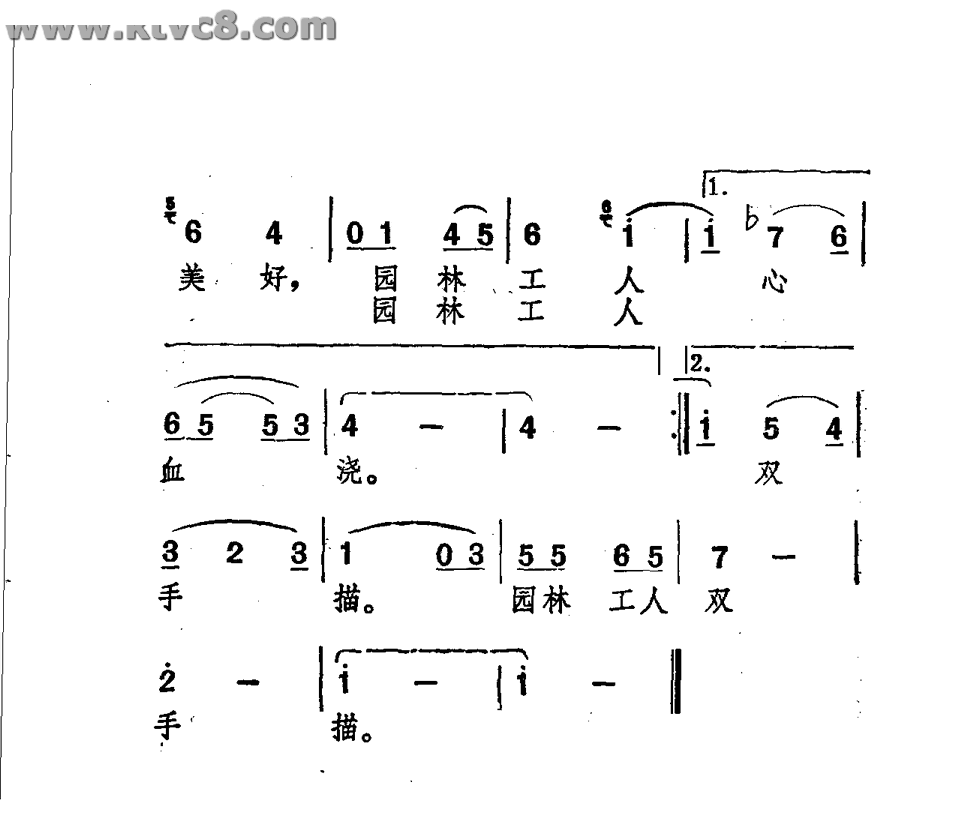 我走过林荫大道