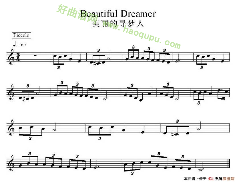 《美丽的寻梦人》 电子琴简谱