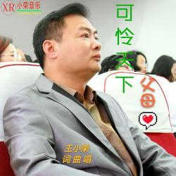 可怜天下父母心（王小荣词 王小荣曲）