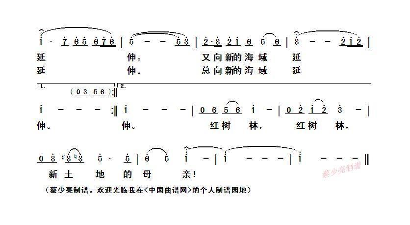 ?红树林之歌