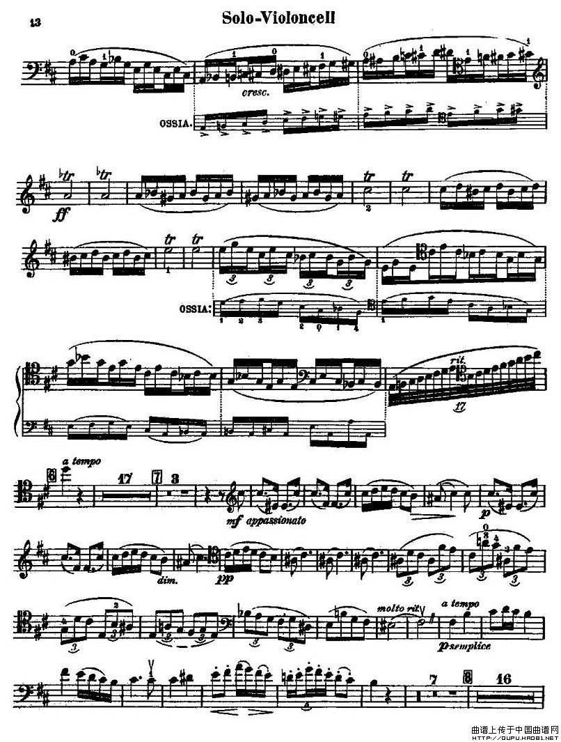 CELLO CONCERTO in B minor（大提琴）