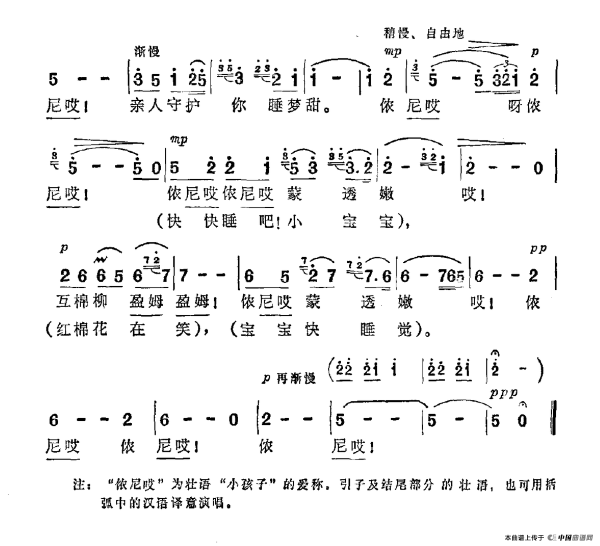 红棉摇篮曲
