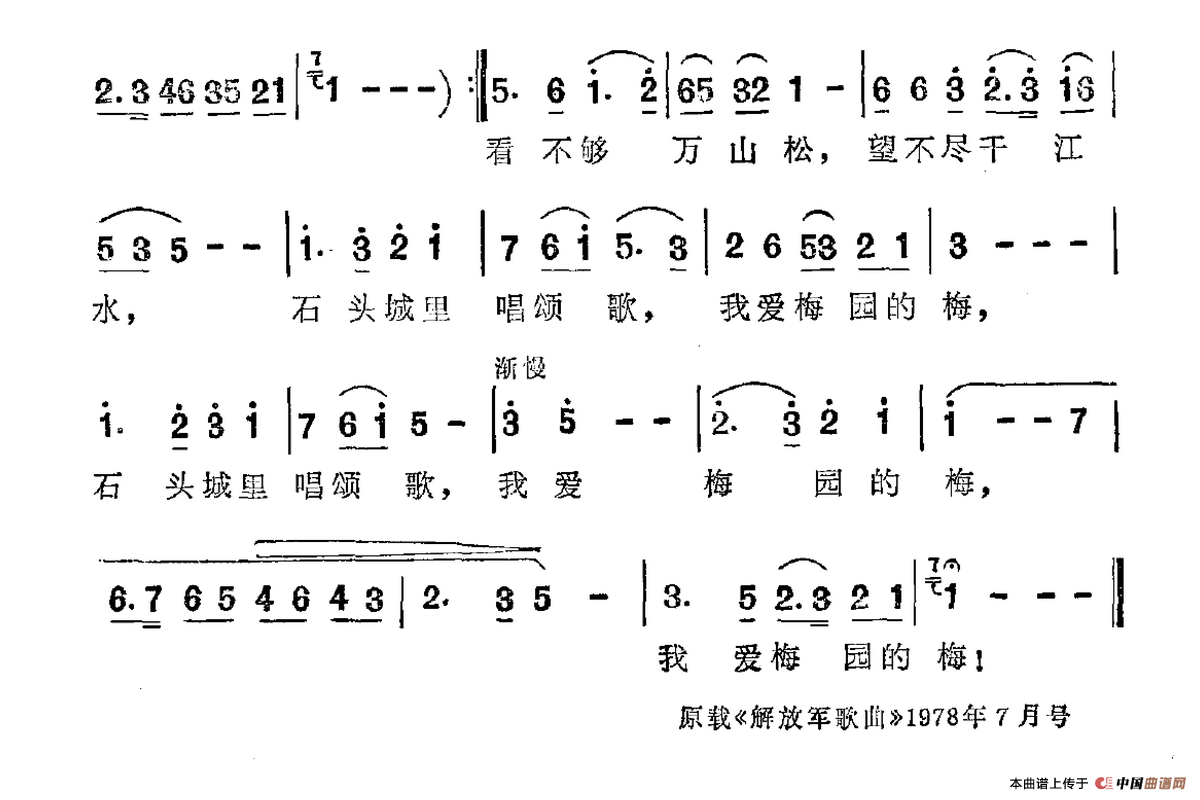 我爱梅园梅