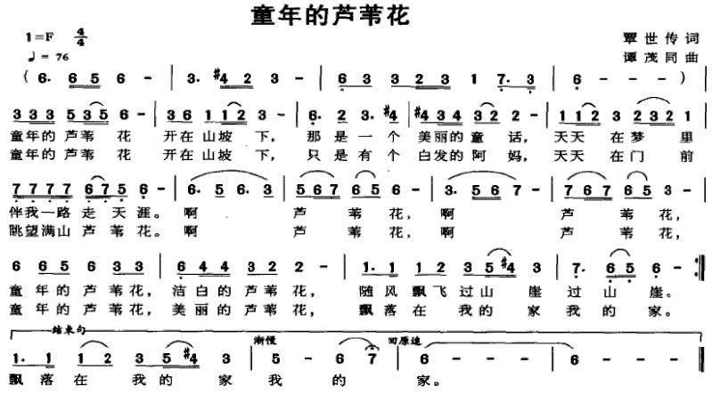 童年的芦苇花