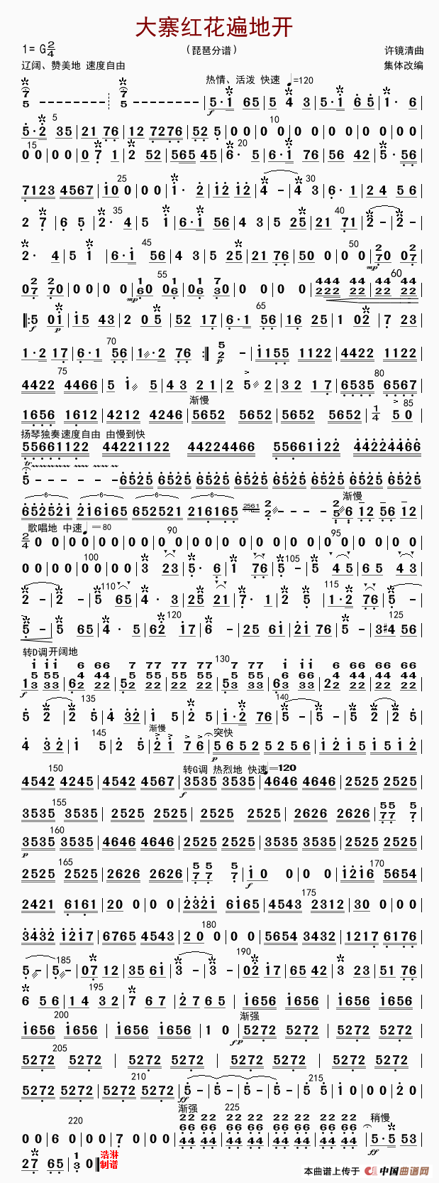 大寨红花遍地开（琵琶分谱）