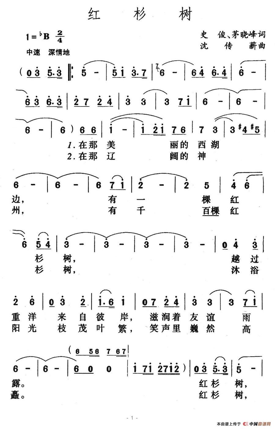 红杉树