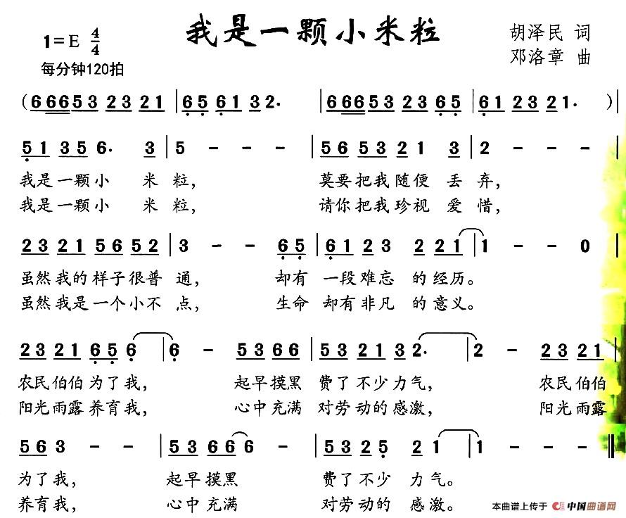 我是一颗小米粒