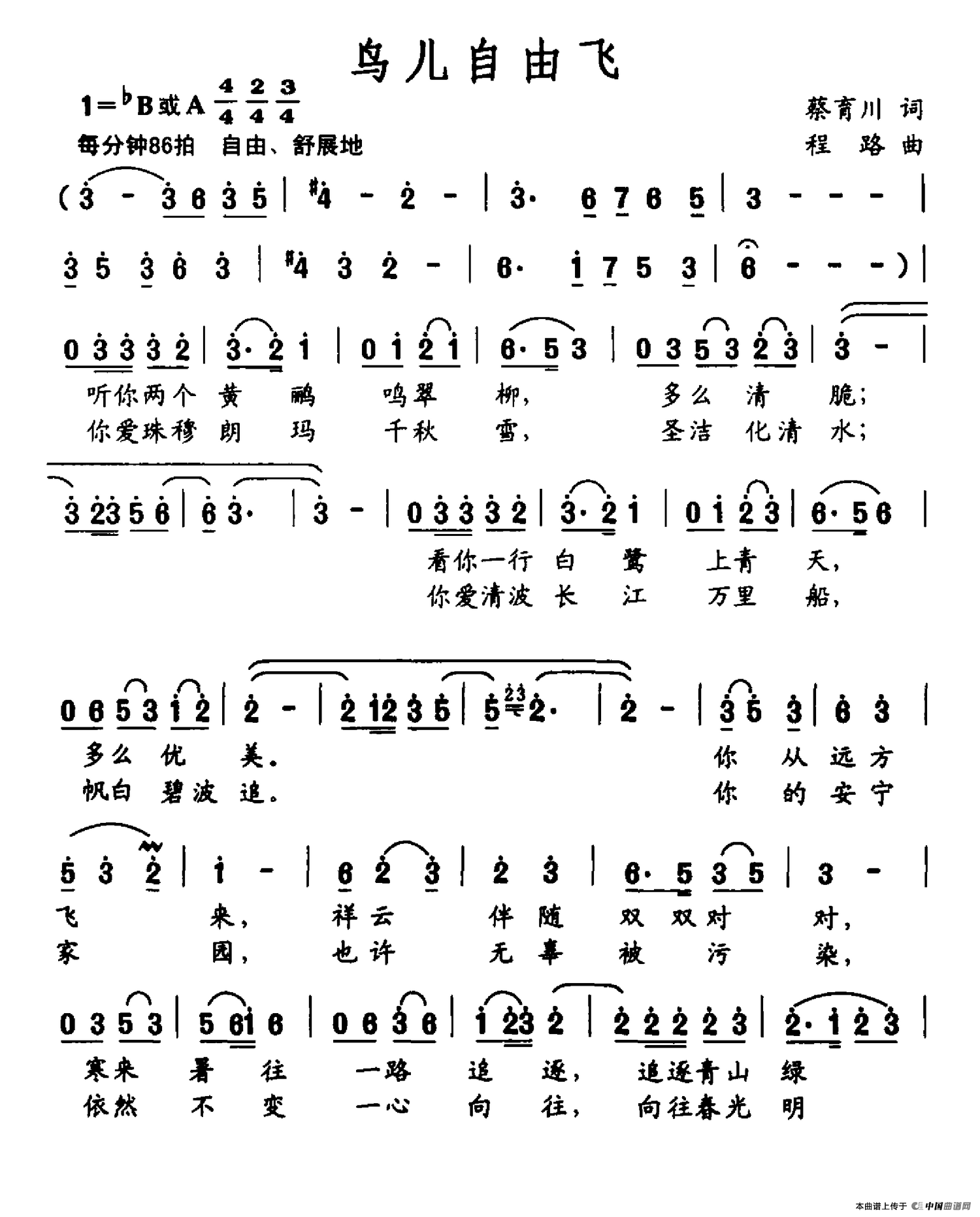 鸟儿自由飞