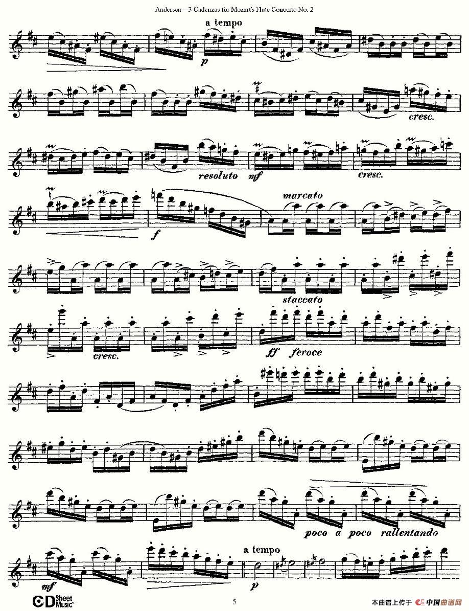 3 Cadenzas for Mozarts flute Concerto No.2