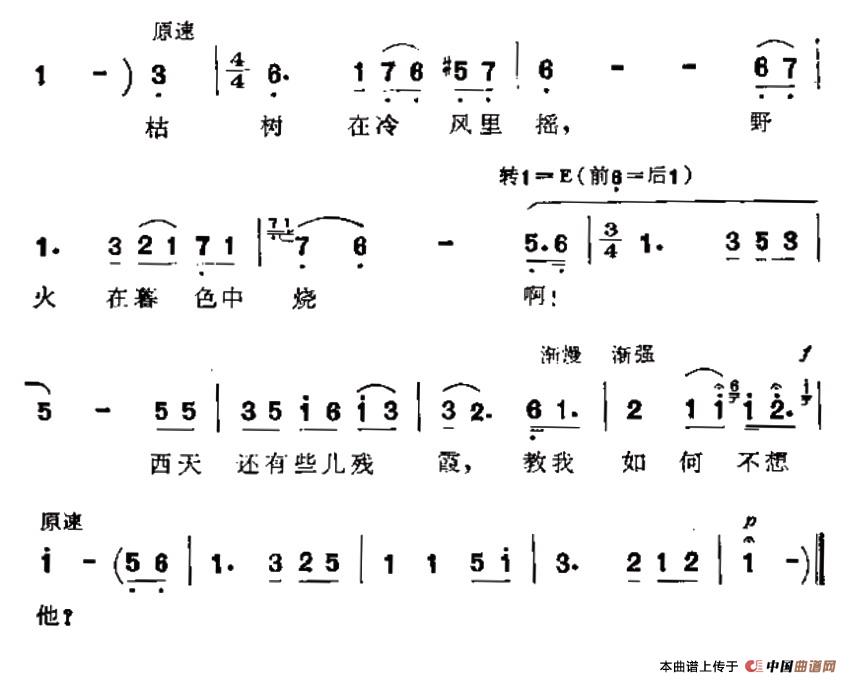 教我如何不想他