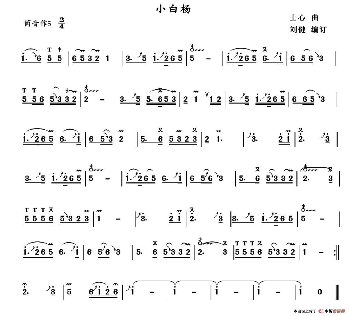 小白杨